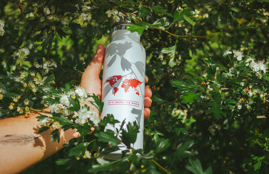 Los 5 accesorios de viaje imprescindibles para un alma viajera - Misswood