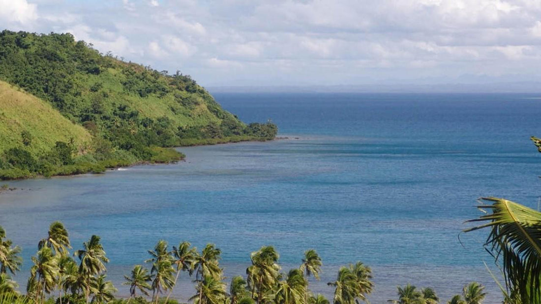 Ovalau (Fiji) - Misswood